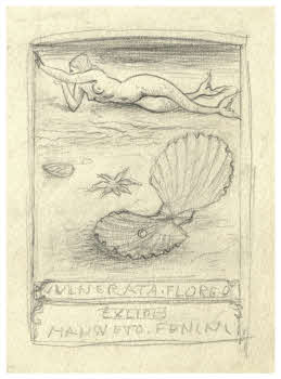 Visualizza l'immagine "FD D 1484"